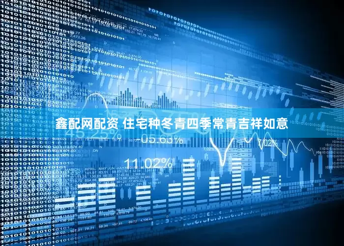 鑫配网配资 住宅种冬青四季常青吉祥如意