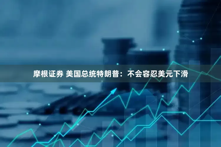 摩根证券 美国总统特朗普：不会容忍美元下滑