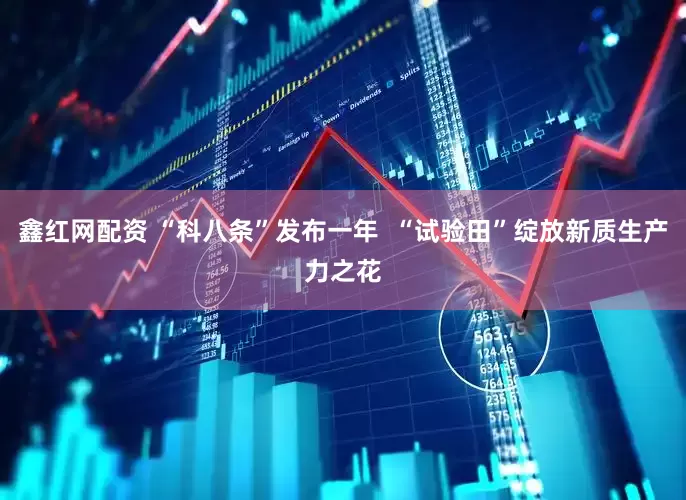 鑫红网配资 “科八条”发布一年  “试验田”绽放新质生产力之花